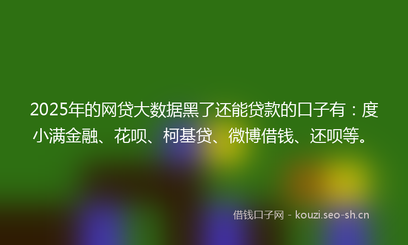 2025年的网贷大数据黑了还能贷款的口子有：度小满金融、花呗、柯基贷、微博借钱、还呗等。