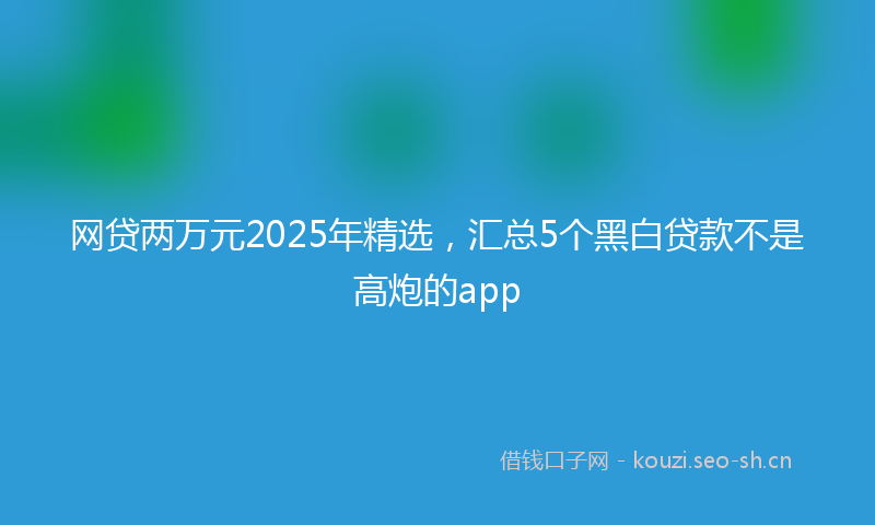 网贷两万元2025年精选,汇总5个黑白贷款不是高炮的app