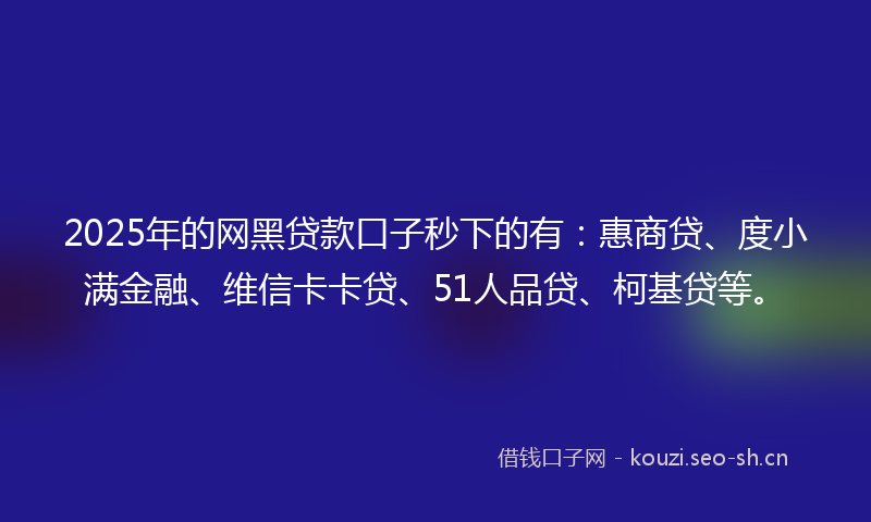 2025年的网黑贷款口子秒下的有：惠商贷、度小满金融、维信卡卡贷、51人品贷、柯基贷等。