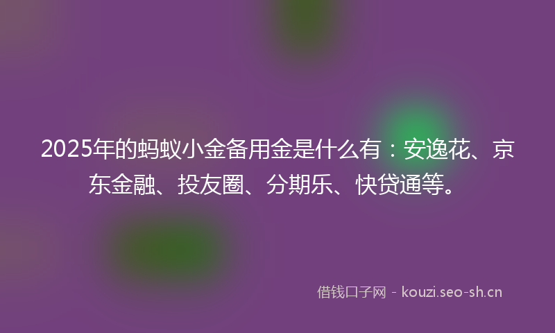 2025年的蚂蚁小金备用金是什么有：安逸花、京东金融、投友圈、分期乐、快贷通等。