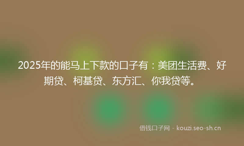 2025年的能马上下款的口子有:美团生活费、好期贷、柯基贷、东方汇、你我贷等。
