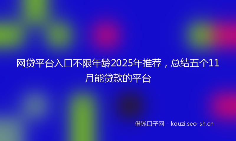 网贷平台入口不限年龄2025年推荐，总结五个11月能贷款的平台