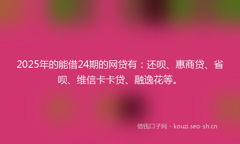 2025年的能借24期的网贷有：还呗、惠商贷、省呗、维信卡卡贷、融逸花等。