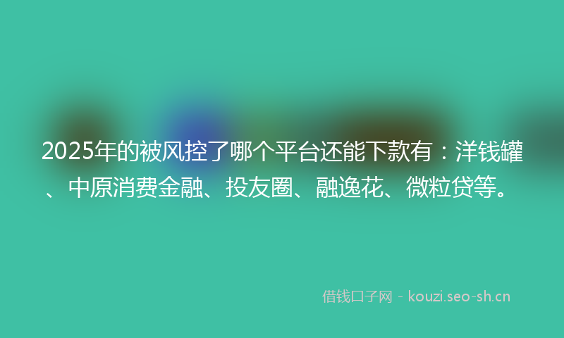 2025年的被风控了哪个平台还能下款有：洋钱罐、中原消费金融、投友圈、融逸花、微粒贷等。