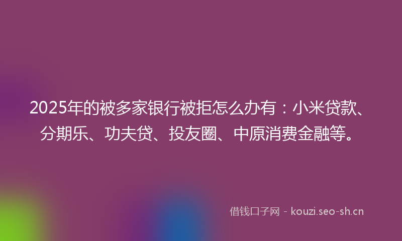 2025年的被多家银行被拒怎么办有：小米贷款、分期乐、功夫贷、投友圈、中原消费金融等。