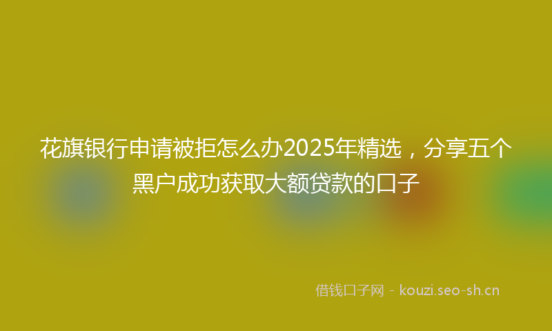 花旗银行申请被拒怎么办2025年精选，分享五个黑户成功获取大额贷款的口子