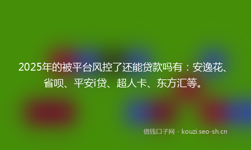 2025年的被平台风控了还能贷款吗有：安逸花、省呗、平安i贷、超人卡、东方汇等。