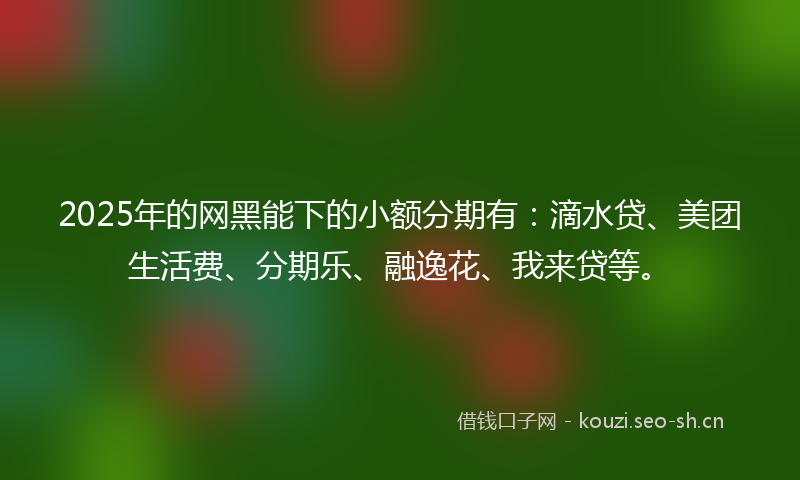 2025年的网黑能下的小额分期有：滴水贷、美团生活费、分期乐、融逸花、我来贷等。