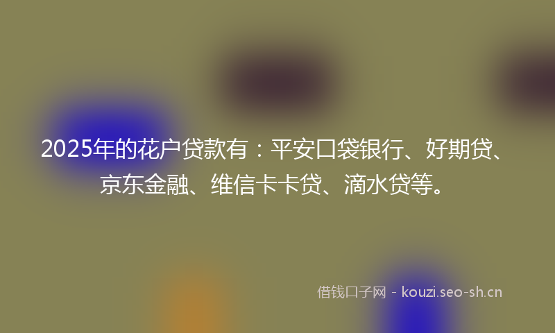 2025年的花户贷款有：平安口袋银行、好期贷、京东金融、维信卡卡贷、滴水贷等。
