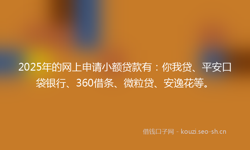 2025年的网上申请小额贷款有：你我贷、平安口袋银行、360借条、微粒贷、安逸花等。