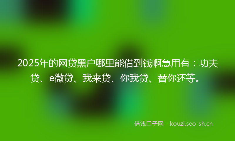2025年的网贷黑户哪里能借到钱啊急用有：功夫贷、e微贷、我来贷、你我贷、替你还等。
