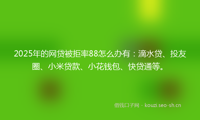 2025年的网贷被拒率88怎么办有：滴水贷、投友圈、小米贷款、小花钱包、快贷通等。