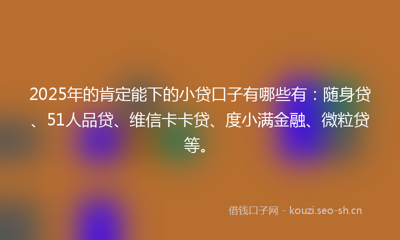 2025年的肯定能下的小贷口子有哪些有：随身贷、51人品贷、维信卡卡贷、度小满金融、微粒贷等。