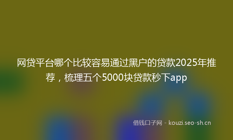 网贷平台哪个比较容易通过黑户的贷款2025年推荐，梳理五个5000块贷款秒下app