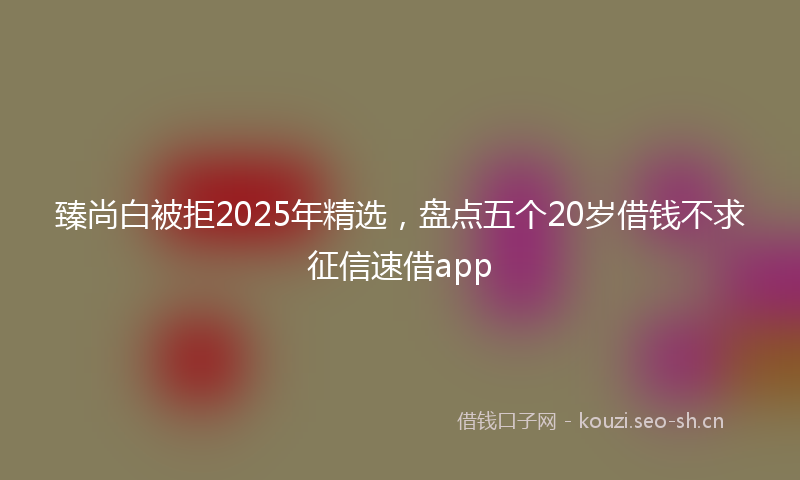 臻尚白被拒2025年精选,盘点五个20岁借钱不求征信速借app