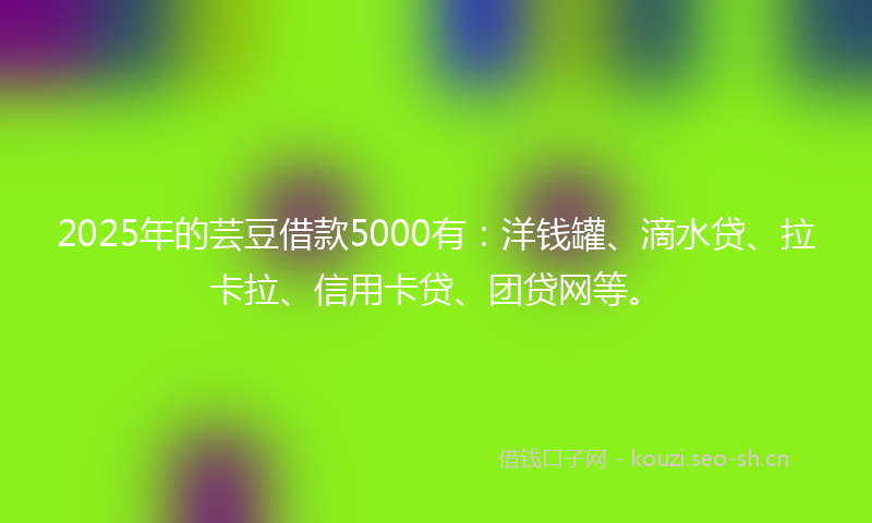 2025年的芸豆借款5000有：洋钱罐、滴水贷、拉卡拉、信用卡贷、团贷网等。