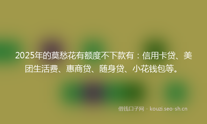 2025年的莫愁花有额度不下款有：信用卡贷、美团生活费、惠商贷、随身贷、小花钱包等。