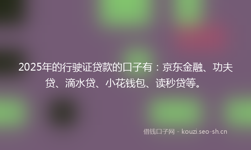 2025年的行驶证贷款的口子有：京东金融、功夫贷、滴水贷、小花钱包、读秒贷等。