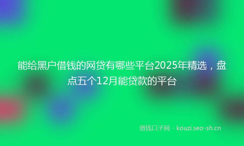能给黑户借钱的网贷有哪些平台2025年精选，盘点五个12月能贷款的平台