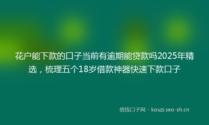 花户能下款的口子当前有逾期能贷款吗2025年精选，梳理五个18岁借款神器快速下款口子