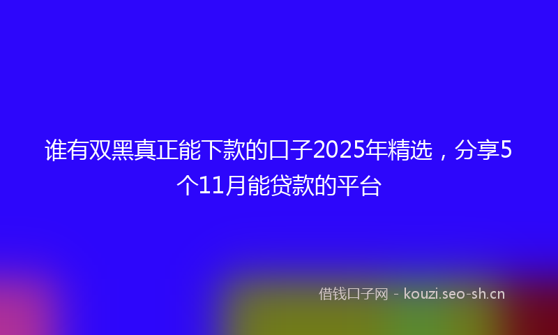 谁有双黑真正能下款的口子2025年精选，分享5个11月能贷款的平台