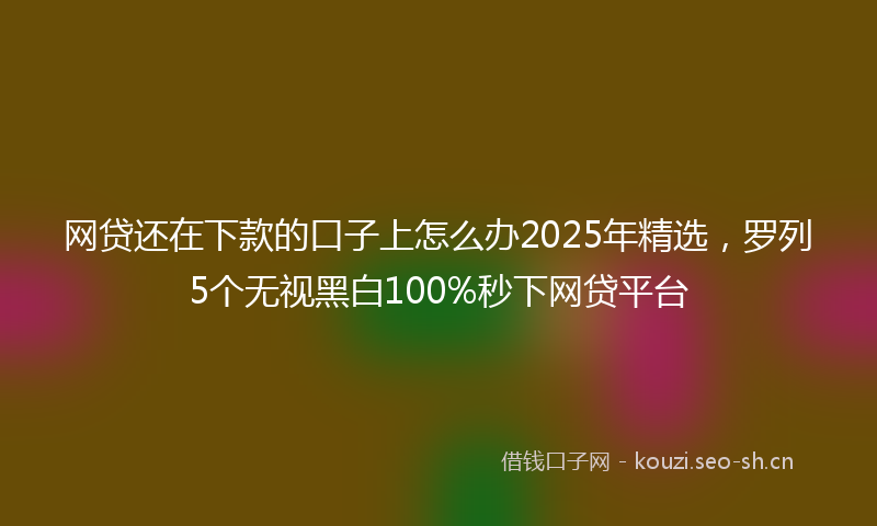网贷还在下款的口子上怎么办2025年精选，罗列5个无视黑白100%秒下网贷平台