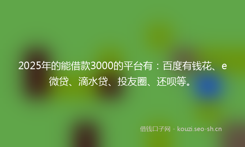 2025年的能借款3000的平台有：百度有钱花、e微贷、滴水贷、投友圈、还呗等。