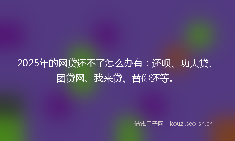 2025年的网贷还不了怎么办有：还呗、功夫贷、团贷网、我来贷、替你还等。