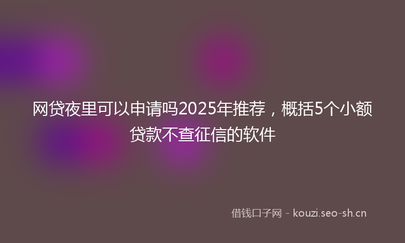 网贷夜里可以申请吗2025年推荐，概括5个小额贷款不查征信的软件