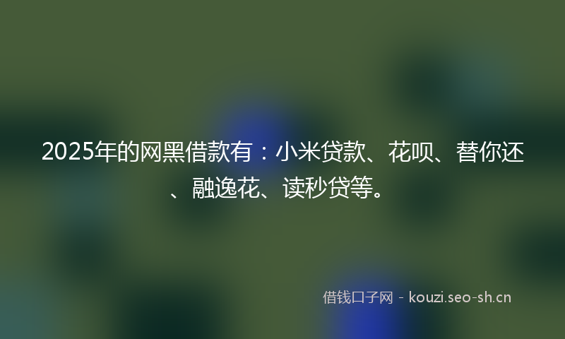 2025年的网黑借款有：小米贷款、花呗、替你还、融逸花、读秒贷等。