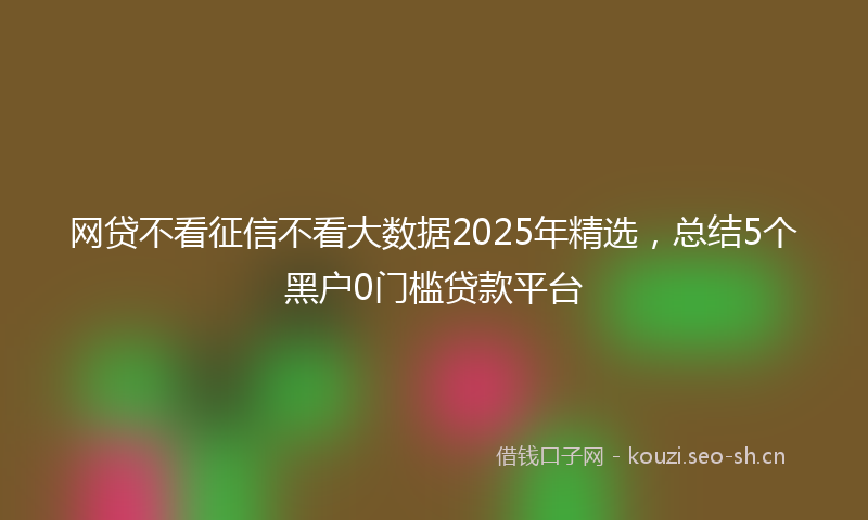 网贷不看征信不看大数据2025年精选，总结5个黑户0门槛贷款平台