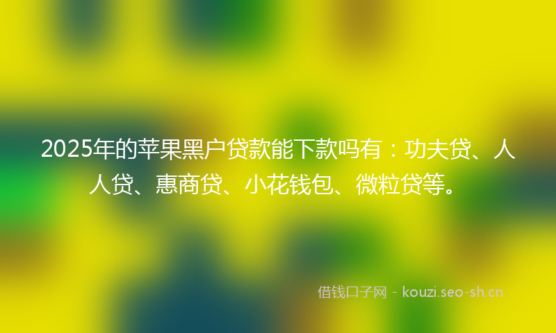 2025年的苹果黑户贷款能下款吗有：功夫贷、人人贷、惠商贷、小花钱包、微粒贷等。