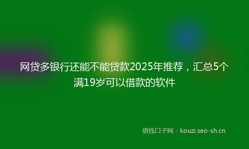 网贷多银行还能不能贷款2025年推荐，汇总5个满19岁可以借款的软件