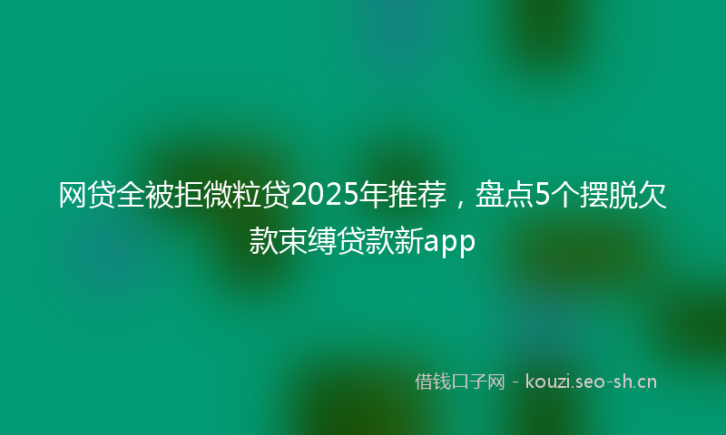 网贷全被拒微粒贷2025年推荐，盘点5个摆脱欠款束缚贷款新app