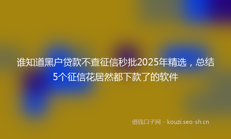 谁知道黑户贷款不查征信秒批2025年精选，总结5个征信花居然都下款了的软件