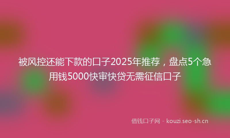 被风控还能下款的口子2025年推荐，盘点5个急用钱5000快审快贷无需征信口子