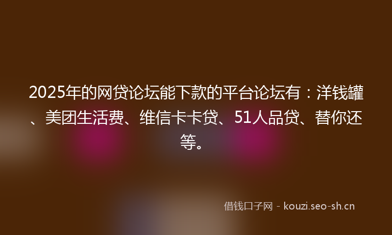 2025年的网贷论坛能下款的平台论坛有：洋钱罐、美团生活费、维信卡卡贷、51人品贷、替你还等。