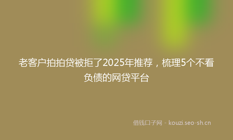 老客户拍拍贷被拒了2025年推荐，梳理5个不看负债的网贷平台