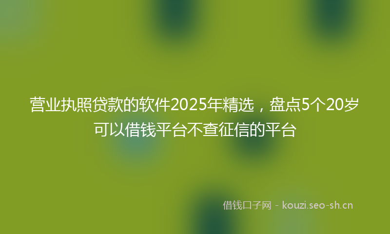 营业执照贷款的软件2025年精选，盘点5个20岁可以借钱平台不查征信的平台