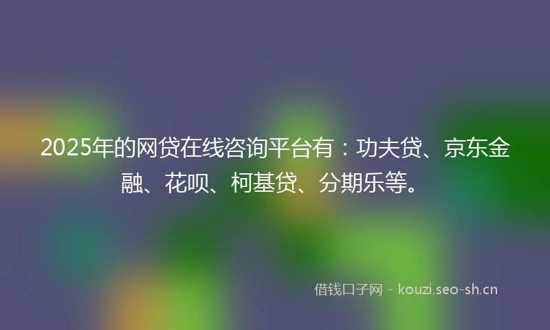 2025年的网贷在线咨询平台有：功夫贷、京东金融、花呗、柯基贷、分期乐等。