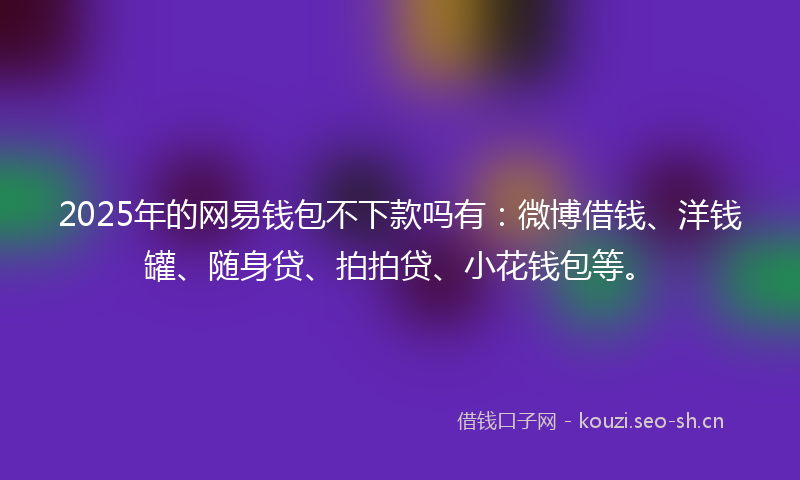 2025年的网易钱包不下款吗有:微博借钱、洋钱罐、随身贷、拍拍贷、小花钱包等。