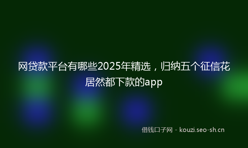 网贷款平台有哪些2025年精选，归纳五个征信花居然都下款的app