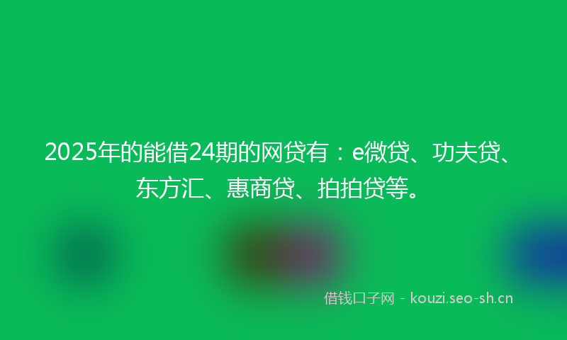 2025年的能借24期的网贷有：e微贷、功夫贷、东方汇、惠商贷、拍拍贷等。