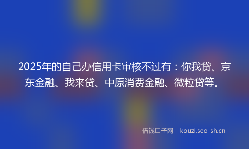 2025年的自己办信用卡审核不过有：你我贷、京东金融、我来贷、中原消费金融、微粒贷等。