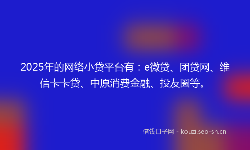 2025年的网络小贷平台有：e微贷、团贷网、维信卡卡贷、中原消费金融、投友圈等。