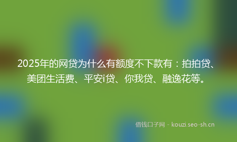 2025年的网贷为什么有额度不下款有：拍拍贷、美团生活费、平安i贷、你我贷、融逸花等。