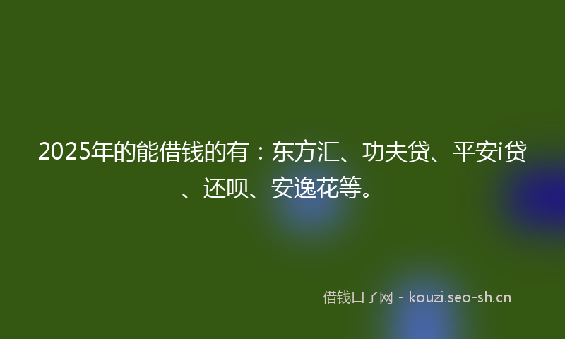 2025年的能借钱的有：东方汇、功夫贷、平安i贷、还呗、安逸花等。