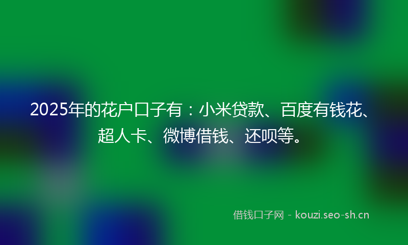 2025年的花户口子有：小米贷款、百度有钱花、超人卡、微博借钱、还呗等。
