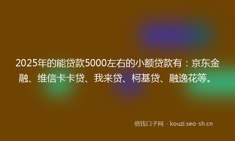 2025年的能贷款5000左右的小额贷款有：京东金融、维信卡卡贷、我来贷、柯基贷、融逸花等。