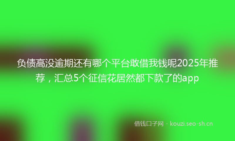 负债高没逾期还有哪个平台敢借我钱呢2025年推荐，汇总5个征信花居然都下款了的app